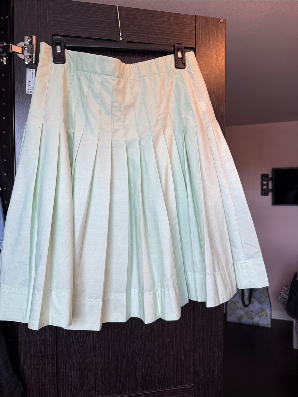 J. Crew Mint Pleated Circle Skirt